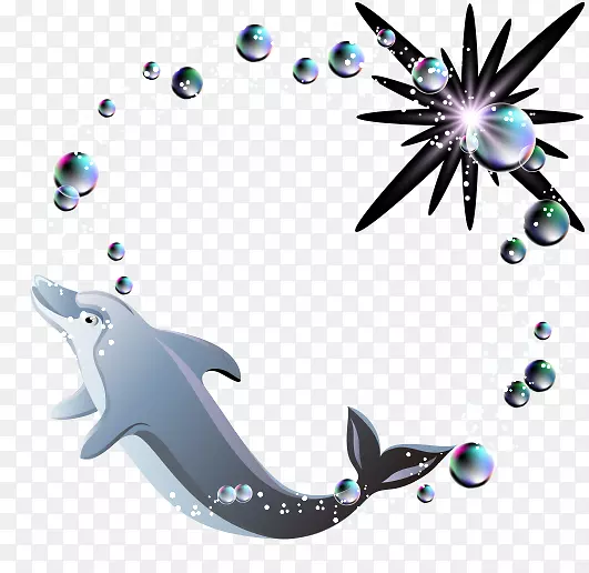 剪贴画-酷海豚