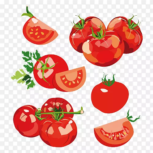 蔬菜色拉番茄剪贴画-番茄