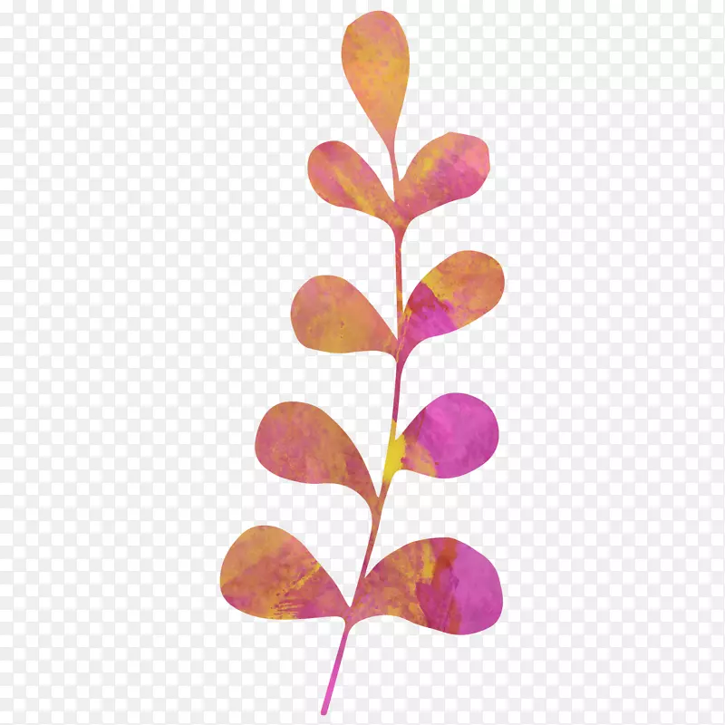 水彩画素描植物图