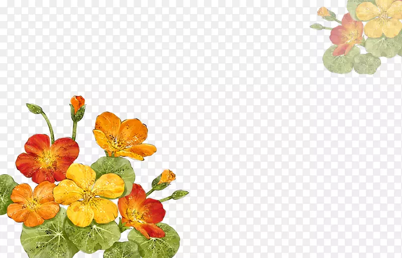 花卉下载-卡通植物