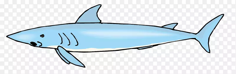 鲨鱼海洋生物-海洋鳍-大蓝鲨载体材料