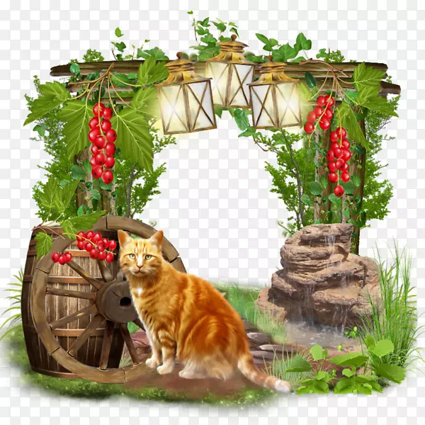 猫下载剪贴画-美丽风景小猫材料