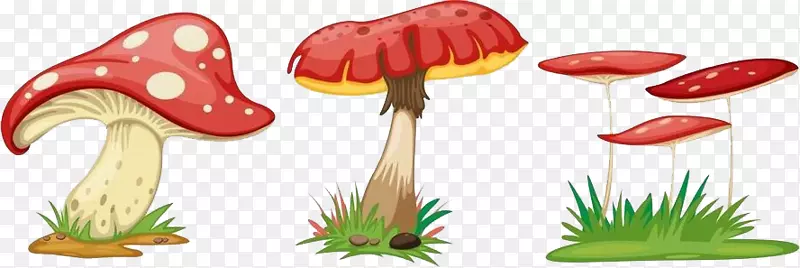 真菌动画蘑菇-蘑菇