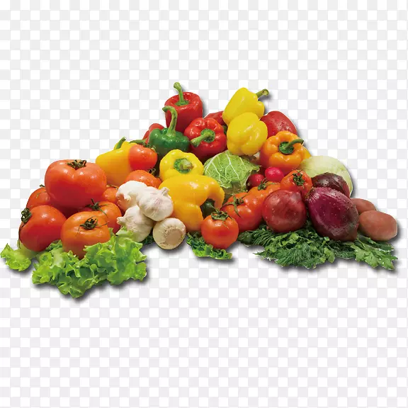 蔬菜种子公司传家宝植物园艺-新鲜蔬菜