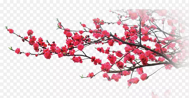 水墨画模板-梅花