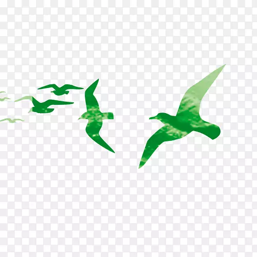 蜂鸟绿色下载-绿鸟