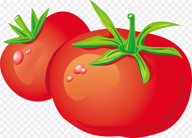 蔬菜扎库斯基番茄水果卡通番茄