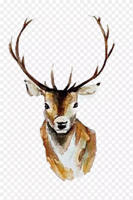 白尾鹿水彩画鹿角黄色圣诞鹿图片材料