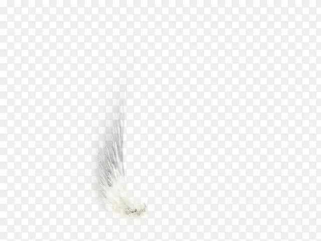 白色黑角图案-白色翅膀