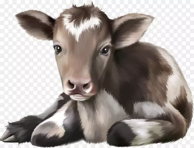 牛犊画婴儿-可爱的母牛
