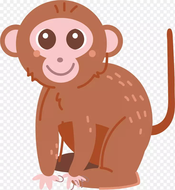 猴子灵长类猿类剪贴画-可爱的小猴子