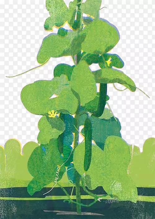 帕特里夏·柯坦黄瓜插画的艺术与活版-藤条黄瓜插图