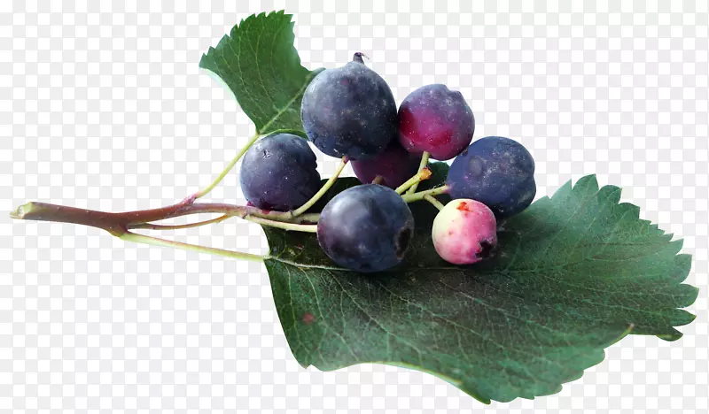 果汁蓝莓葡萄夹艺术-蓝莓水果