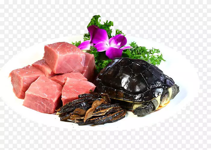 灵芝蘑菇中草药肉下载-野生海龟灵芝炖肉