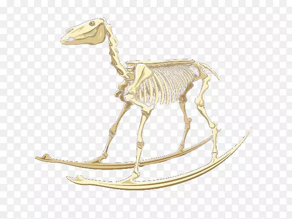 长颈鹿骨骼马骨动物骨