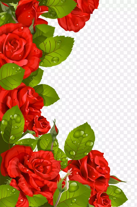 情人节玫瑰贺卡母亲节剪贴画-新鲜玫瑰花