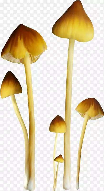 蘑菇剪贴画-DIY蘑菇