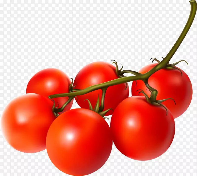 樱桃番茄蔬菜水果樱桃番茄
