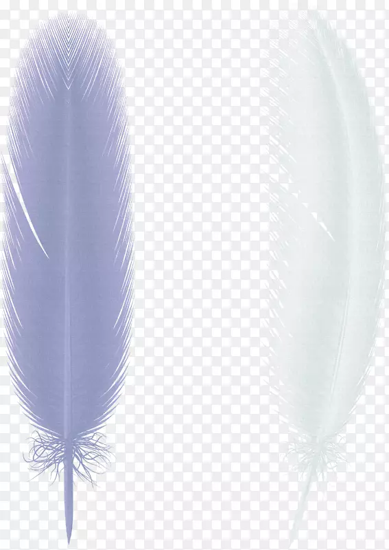 蝴蝶羽毛纸鸟翅膀-创造性纸蝴蝶翅膀，羽毛