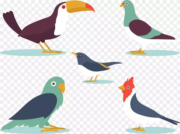 鸟类平面设计-5卡通鸟类设计