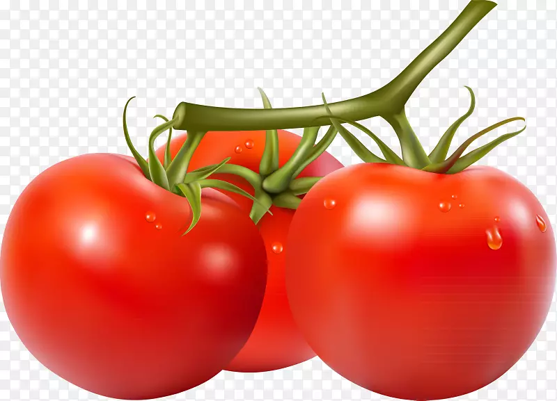 樱桃番茄圣马尔扎诺番茄摄影剪贴画-高清番茄