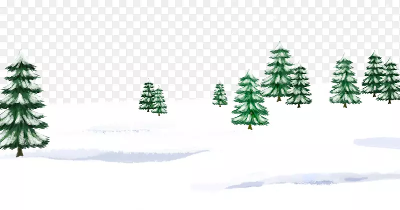 圣诞树上的雪冬天的象征-树上的雪
