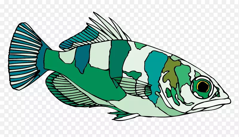 弓形鱼剪贴画-创意绿色和白色观赏鱼