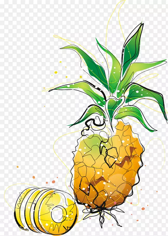 菠萝卡通画夹艺术卡通画菠萝