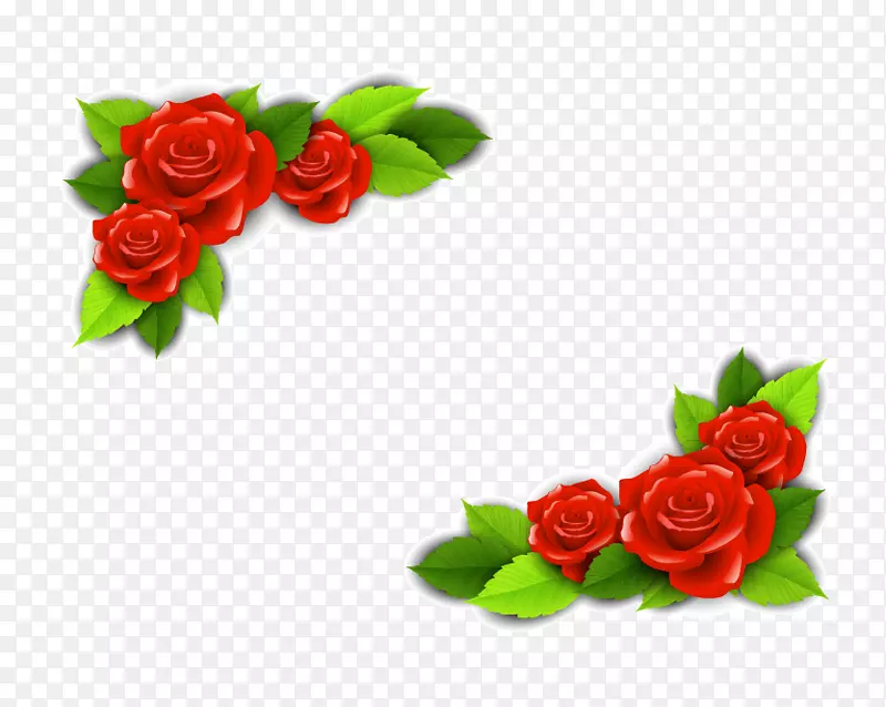 海滩玫瑰花土坯插图-红玫瑰边缘