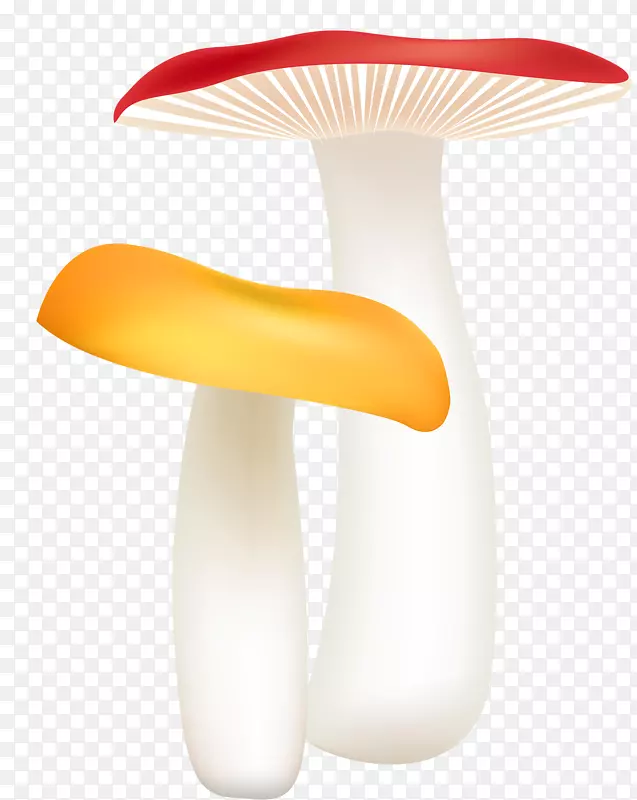 蘑菇绘制绘制蘑菇