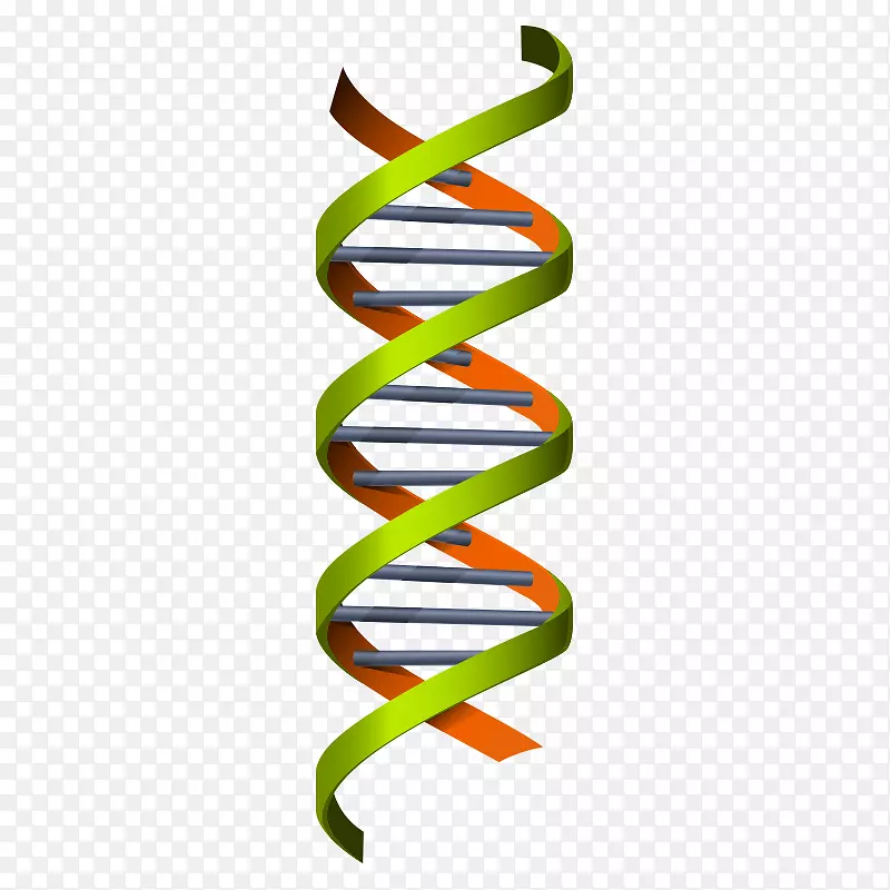 科学遗传学-DNA插图-医学化学，科学