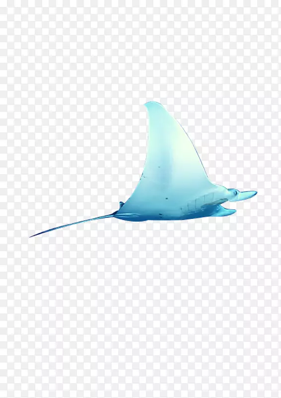鲨鱼绿松石海豚图案鱼