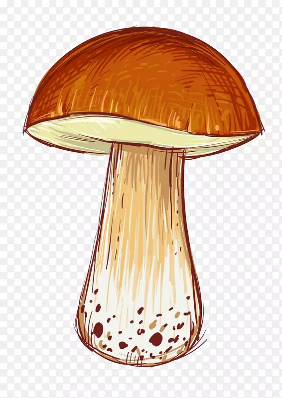 卡通插图-卡通蘑菇