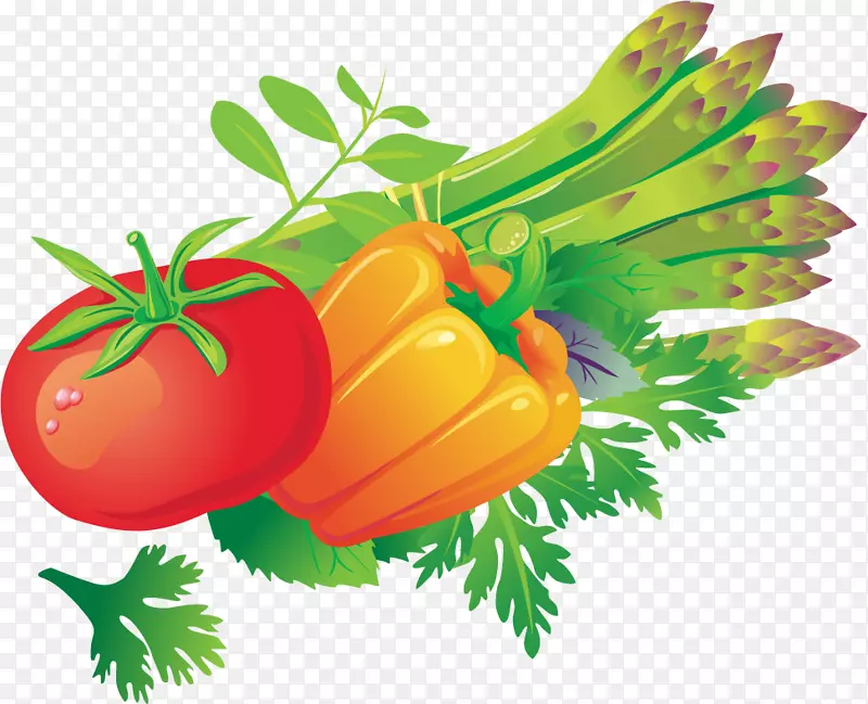 番茄蔬菜载体-PNG番茄蔬菜载体材料