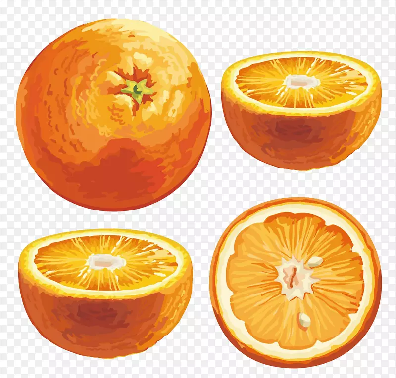 柑桔xd7android剪贴画.甜橙