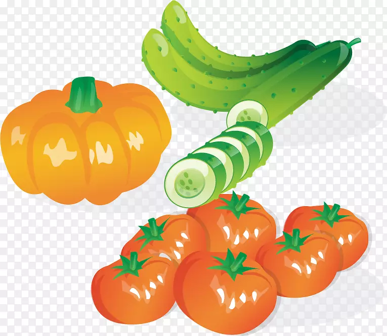 蔬菜黄瓜沙拉-PNG番茄黄瓜南瓜载体材料
