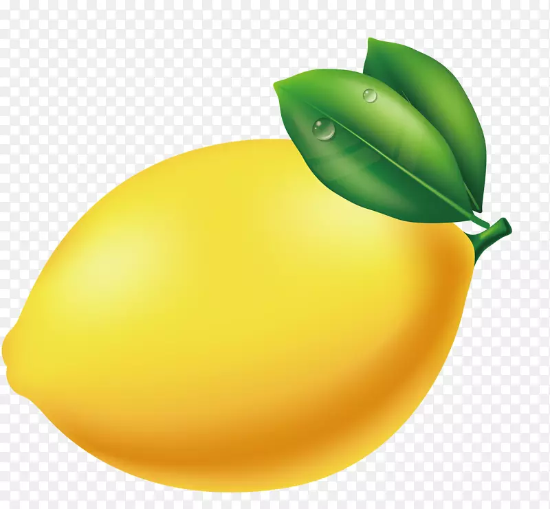 柠檬罐插图-葡萄柚，蜂蜜，图形，绘画