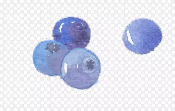 蓝莓插图.手绘蓝莓