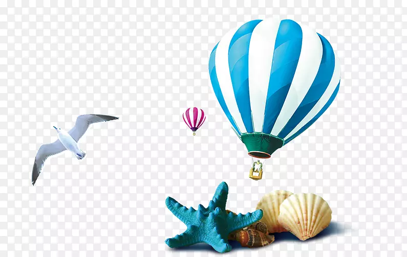 海螺下载-海螺贝壳气球海鸥