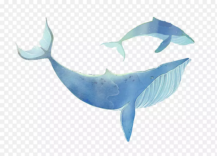 鲨鱼创意手绘鲨鱼图案