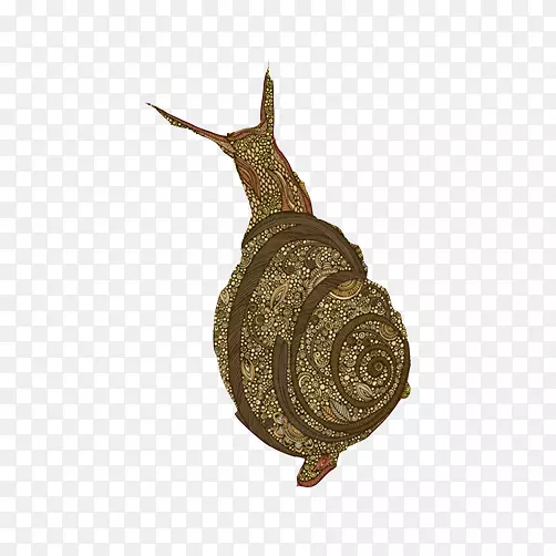 蜗牛正交星光葡萄酒google图像-免费手绘蜗牛拉料