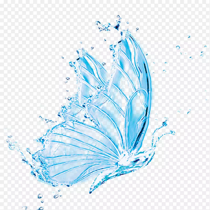 蝴蝶透明半透明水蝴蝶创意