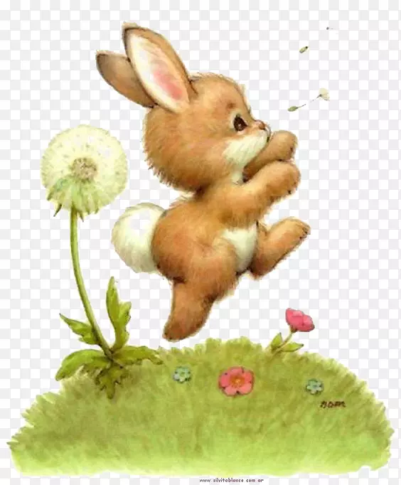 复活节兔子比利时兔欧洲兔子和蒲公英