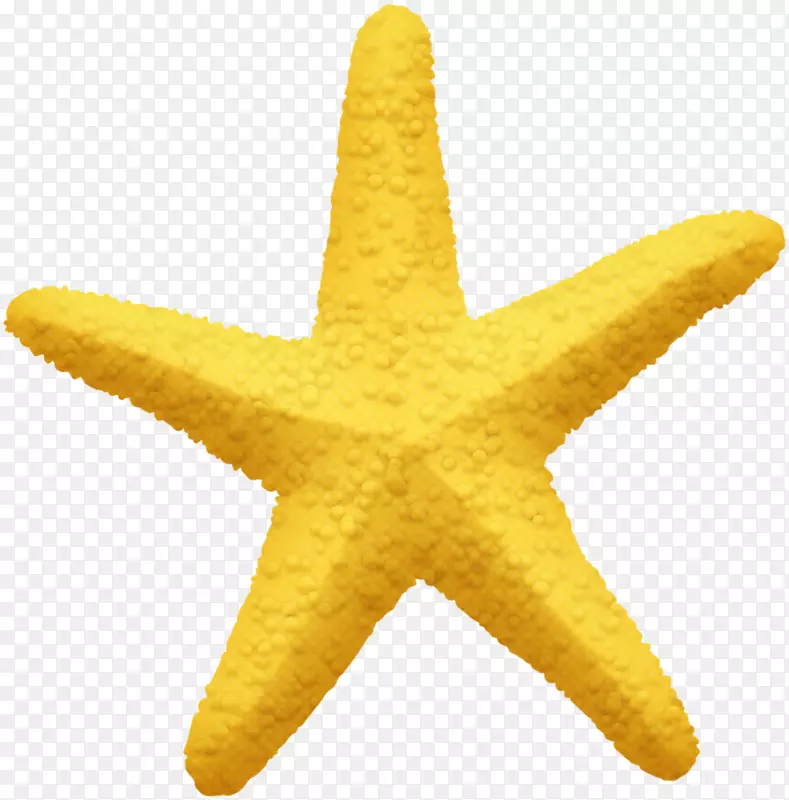 五角星黄色五角星手绘五点星海星