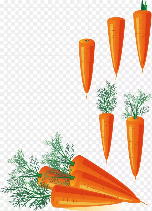胡萝卜砧木摄影剪贴画创意设计图蔬菜黄色胡萝卜