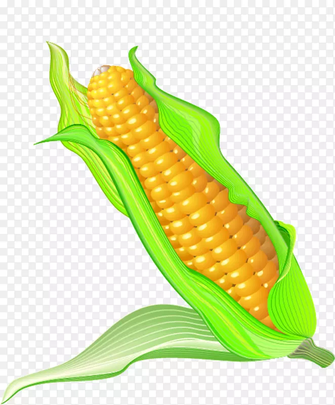 玉米上的玉米卡通玉米