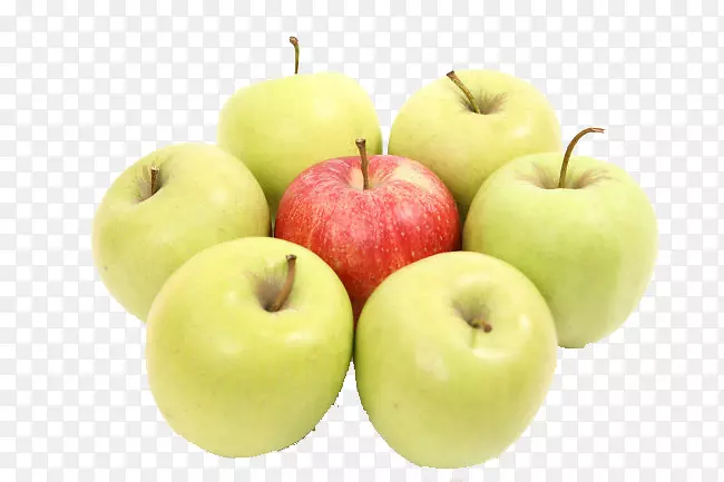 苹果汁u51cfu80a5水果-苹果物理图