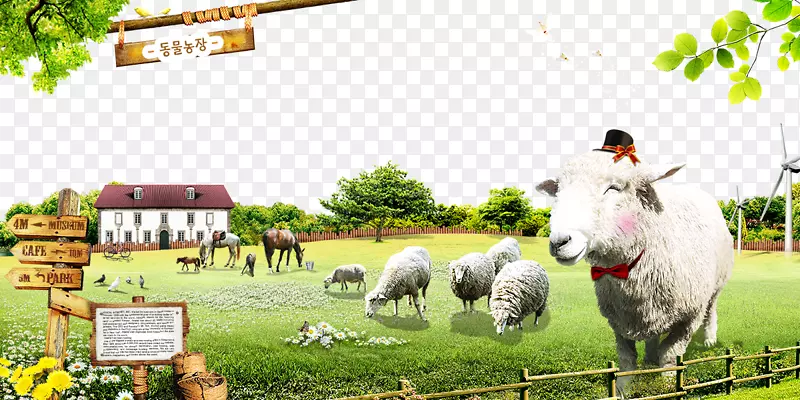 牧羊场-圈养绵羊