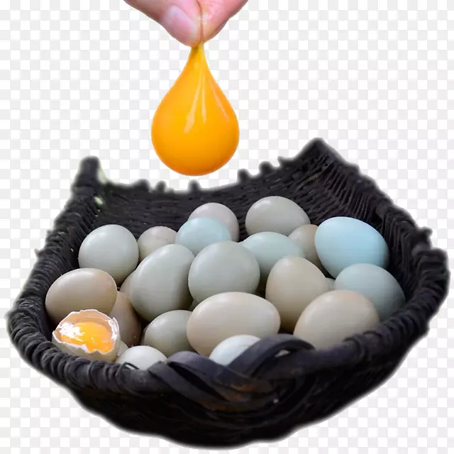 鹌鹑蛋，菜，普通鹌鹑-一只灰鹌鹑蛋