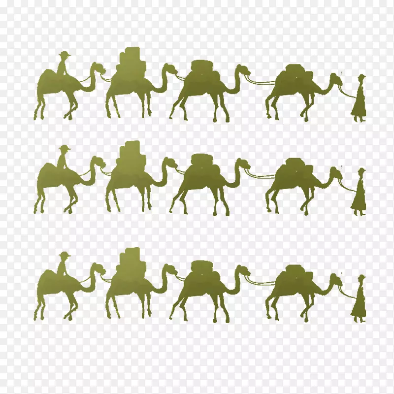骆驼一带一路首创马海上丝绸之路-骆驼地段